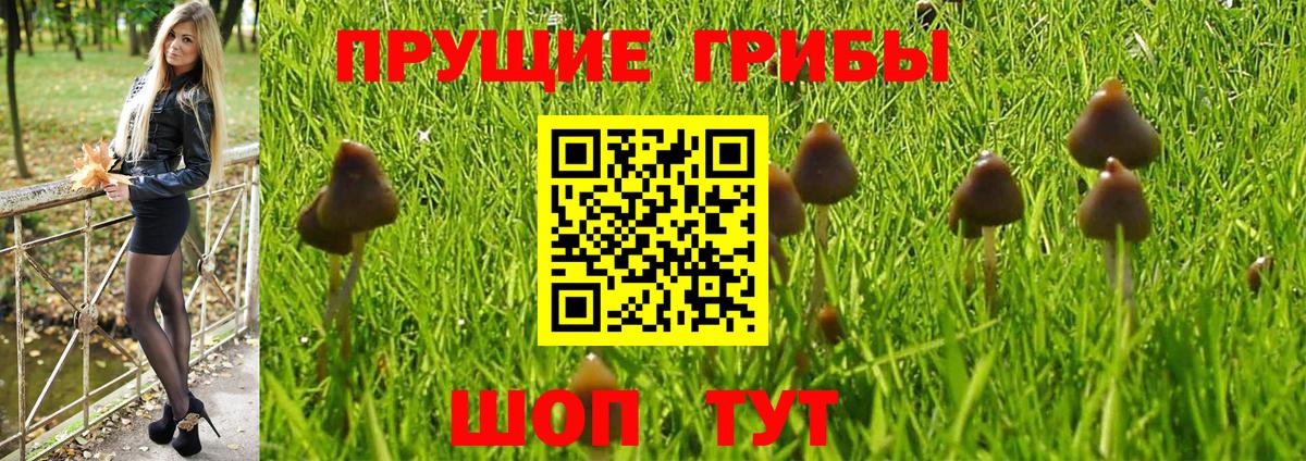 Галлюциногенные грибы мухоморы Шелехов