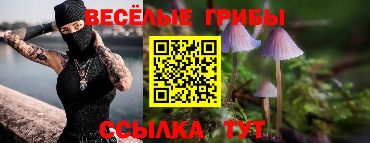 Шелехов  цена   Псилоцибиновые грибы Magic Shrooms  Вход с VPN  Псилоцибиновые грибы прущие грибы 